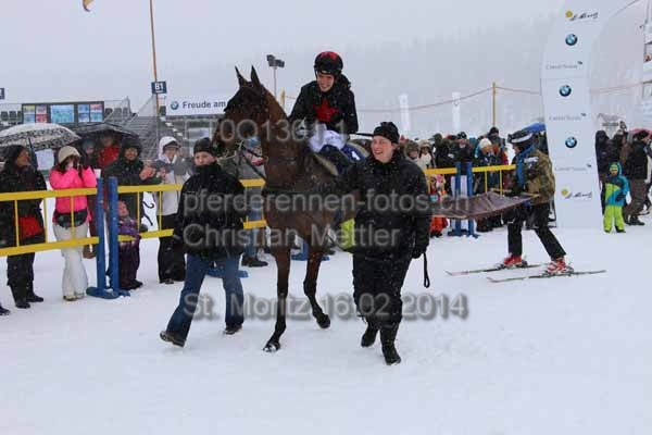ET0Q1301.1 prot